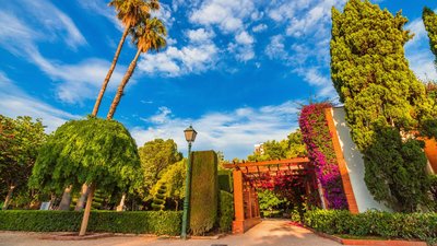 레알 정원 / 비베로스